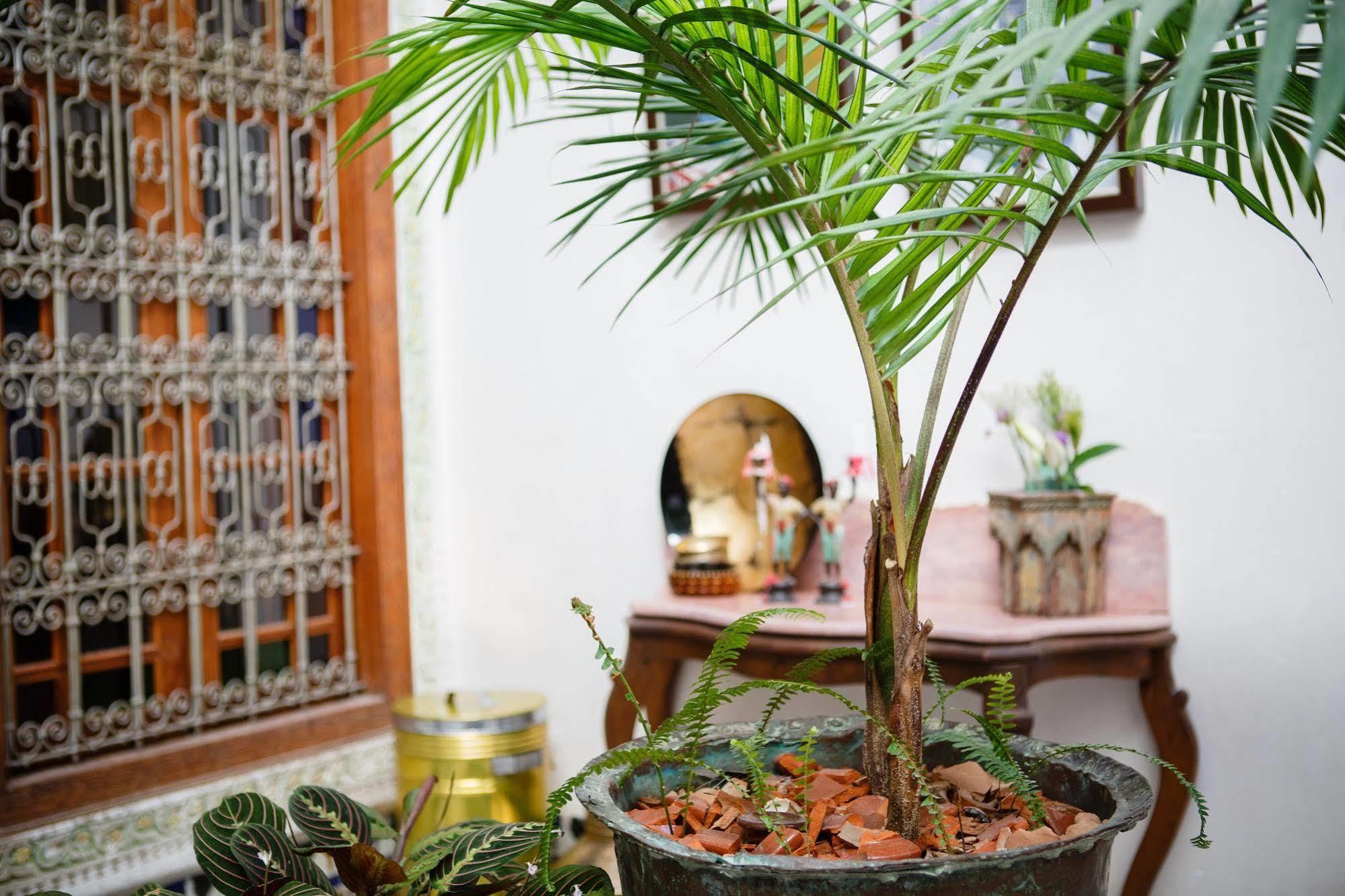 Riad Idrissy Fes Luaran gambar